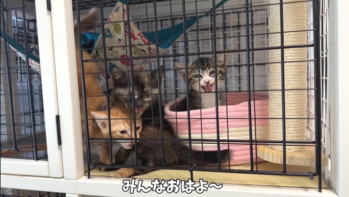 おはよ〜