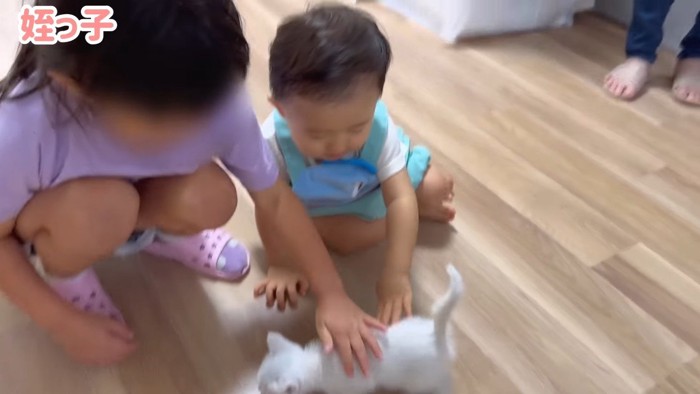 ふたりでなでなで