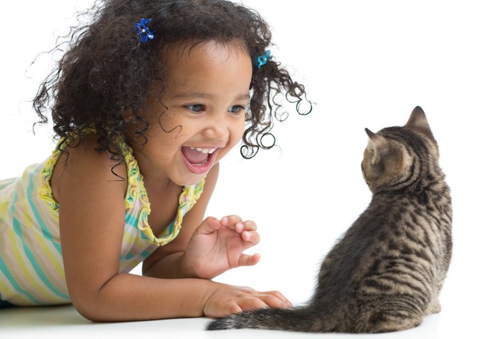 一緒に遊ぶ子猫と子供