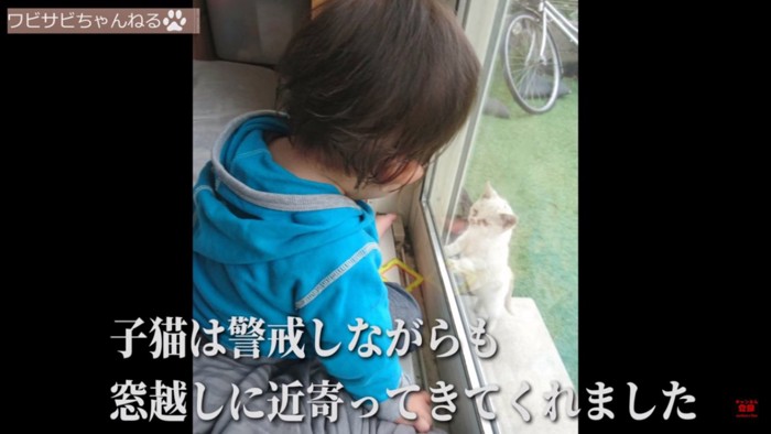 近寄る子猫