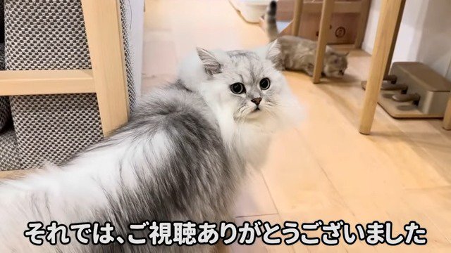 エンドロールのカメラ目線を送るモルンくん