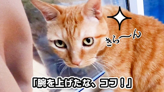 きら〜ん