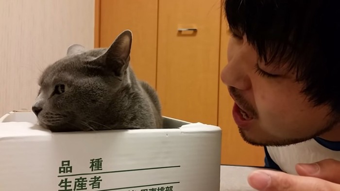 飼い主さんから目を背ける猫