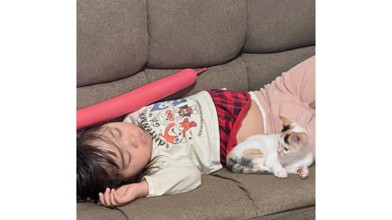 寝ている子猫