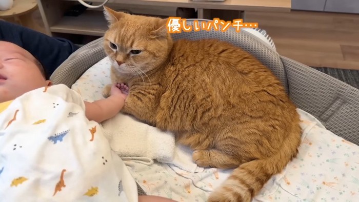 優しいパンチ