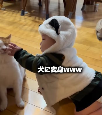フードをかぶった赤ちゃんが左手で猫の顔を触る(犬に変身www)
