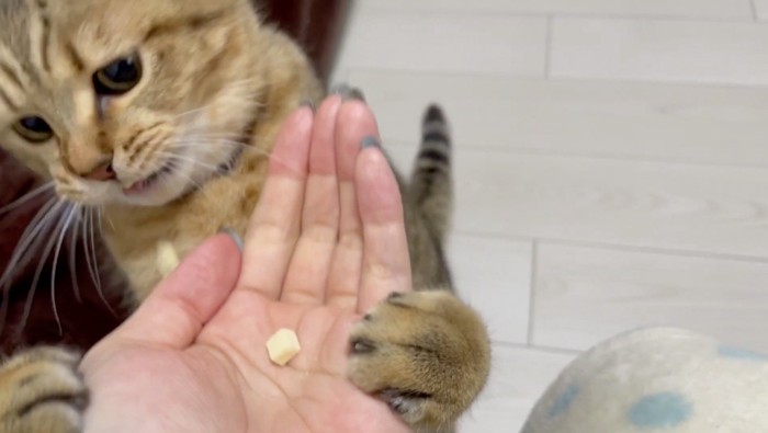 おやつをこぼす姿