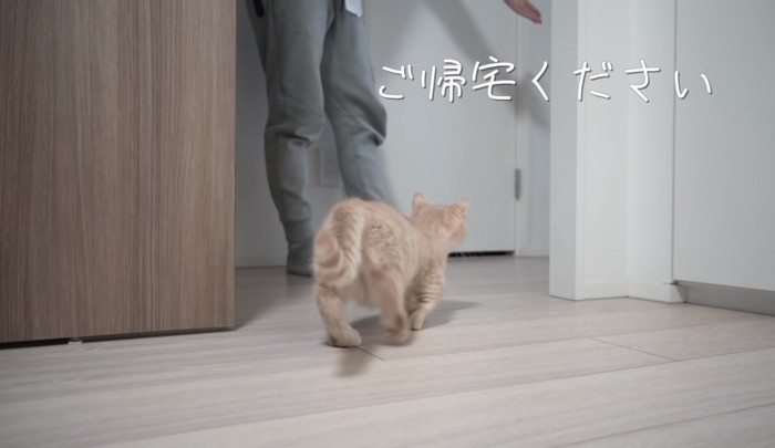 別の部屋に戻るころもくん