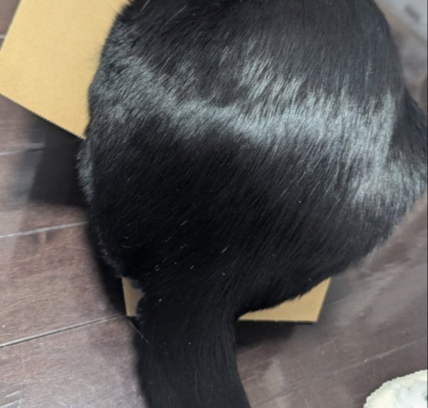 はみ出るお尻