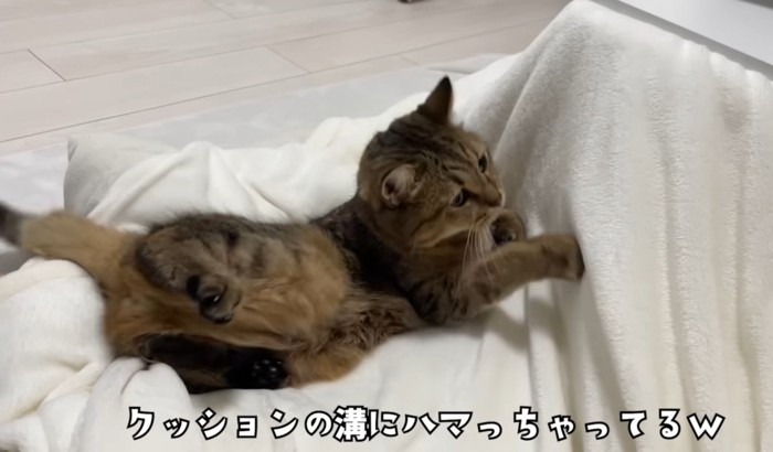 溝にはまってしまったみにらくん