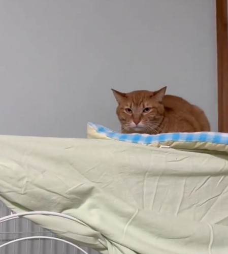 不満気味のひかりちゃん