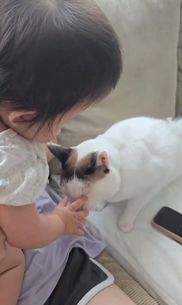 赤ちゃんと猫