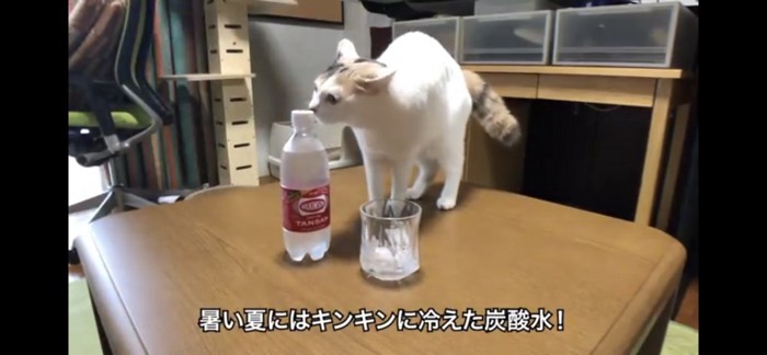 冷え冷え炭酸水