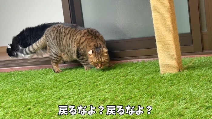 戻るなよ?戻るなよ?