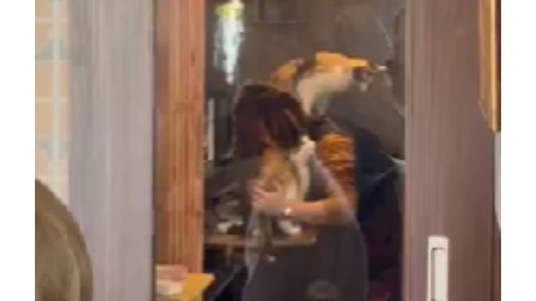 女性と猫