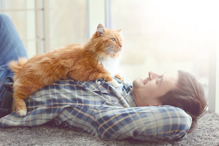 男性の上に乗る猫