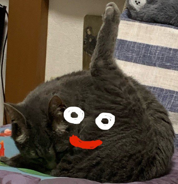 猫にスライムの落書きがしてある写真（アップ）