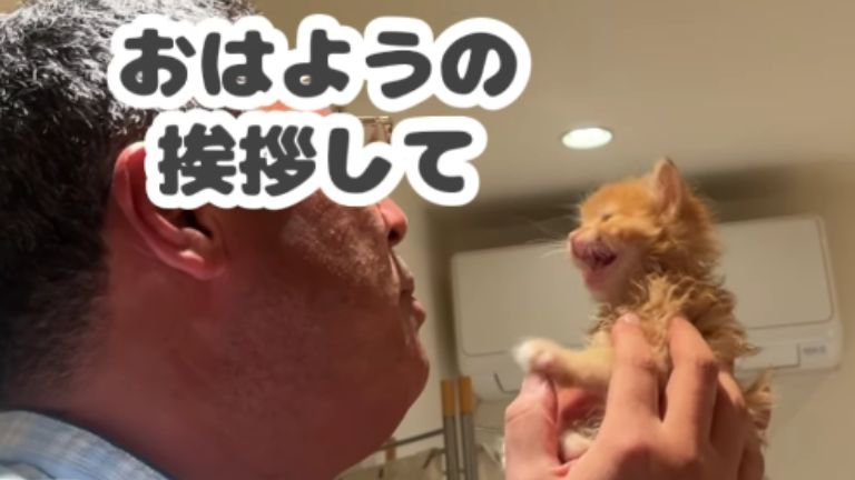 子猫を持っている男性