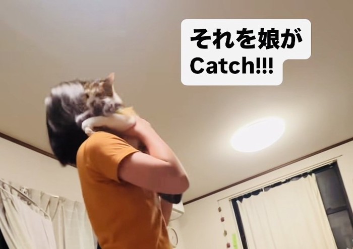 飛んできた三毛猫をキャッチする娘さん