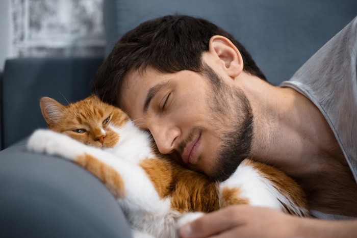 男性にすり寄られ我慢する猫