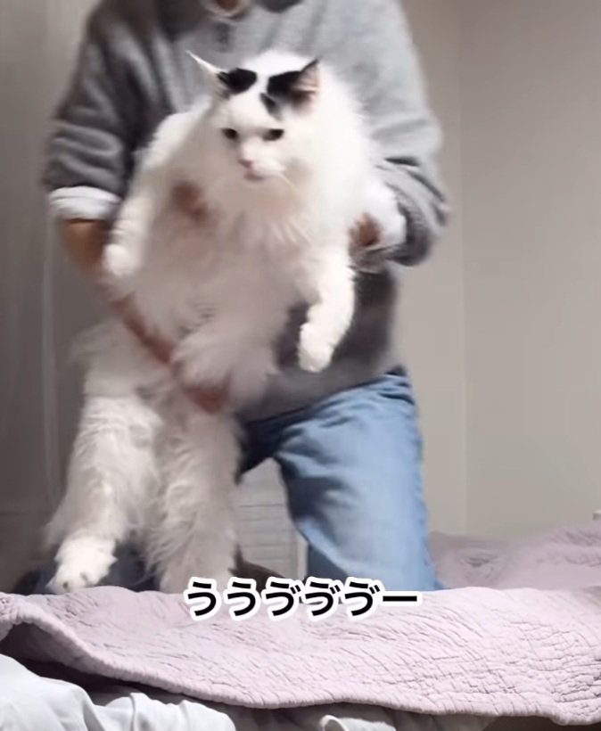 飼い主さんに抱っこされるまろくん