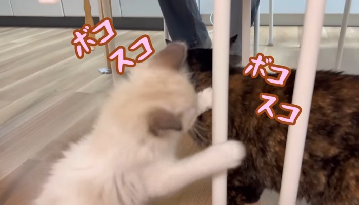 ボコスコ