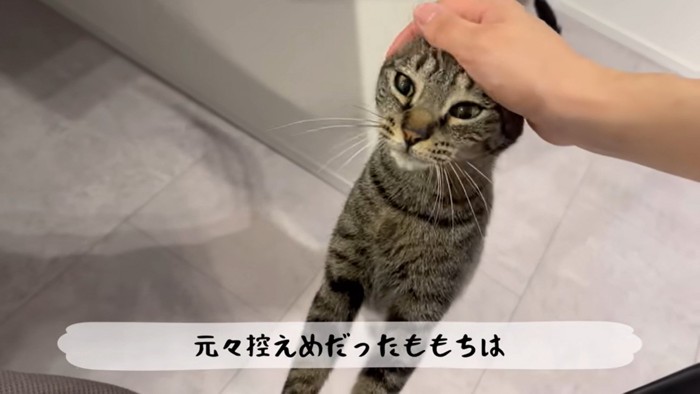 控えめだったももまる…