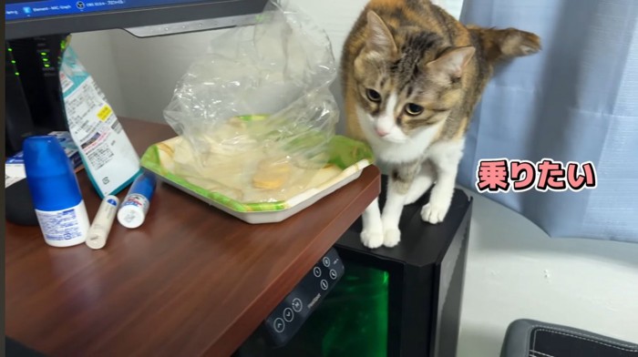 「乗りたい」のテロップ写真