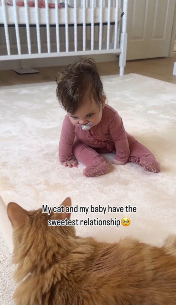 子どもが猫をのぞき込む