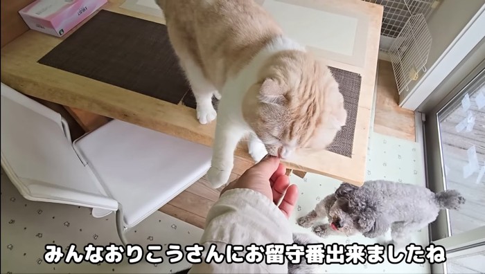 おやつ