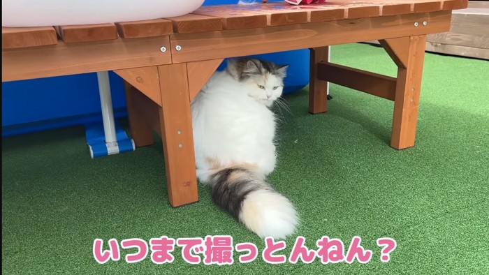 いつまで撮っとんねん?