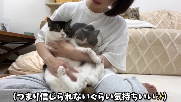 抱っこ中