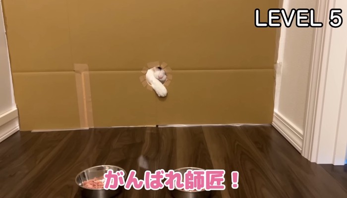 がんばれ師匠