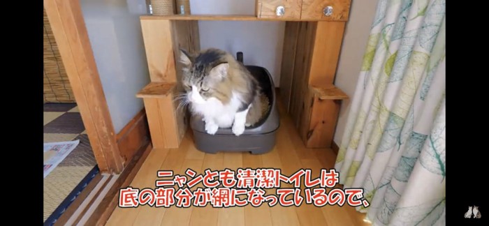 用をたす