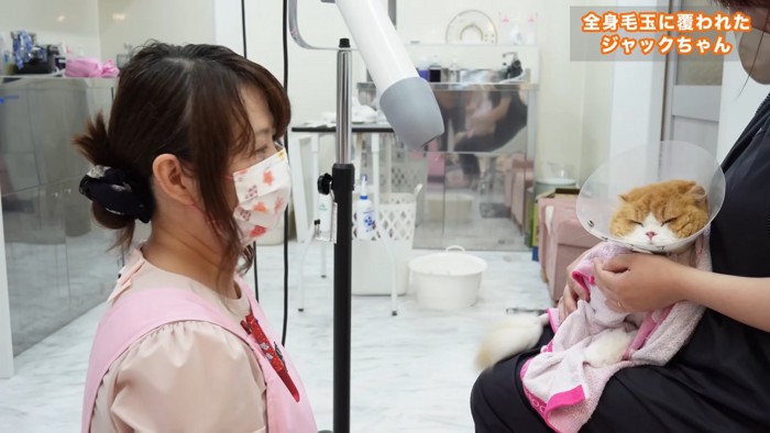 抱っこされる猫