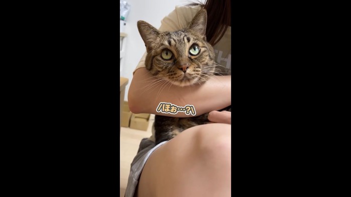 ほぉ…？