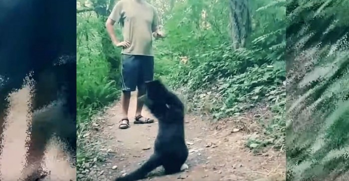 山道に男性と猫