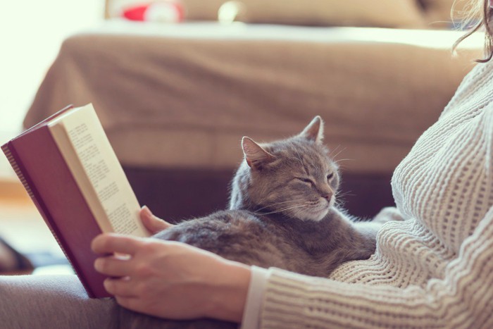 読書する飼い主に抱っこされる猫