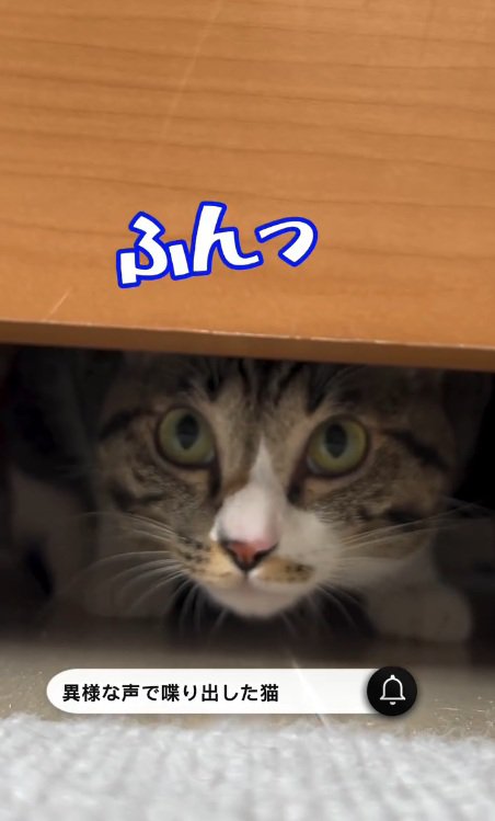 鼻息を立てるリオンくん