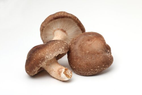 しいたけ