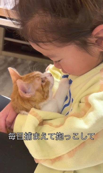 子猫を抱く女の子