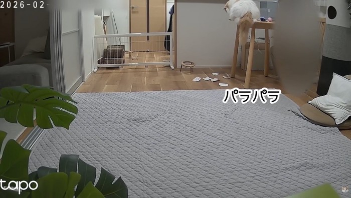 領収書をパラパラ落とす