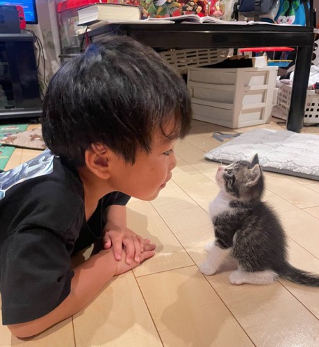 子猫に話しかける2