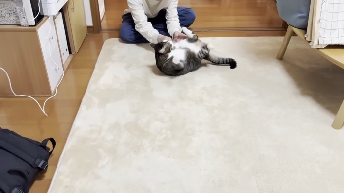 奥で転がされ中