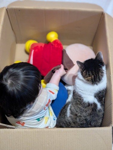 箱に入っている子どもと猫