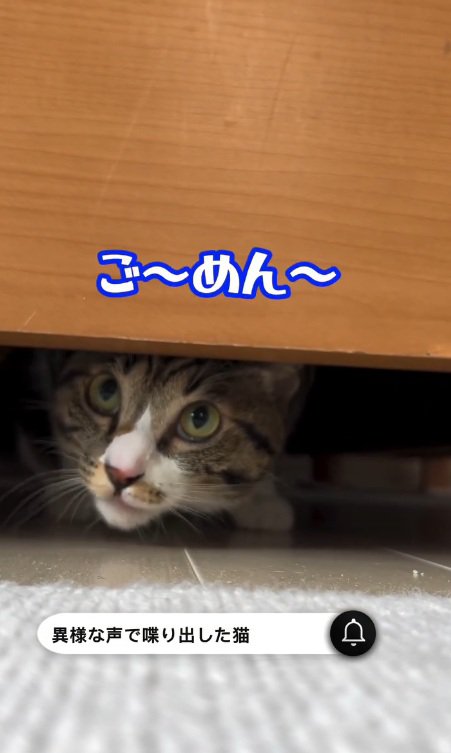謝るリオンくん