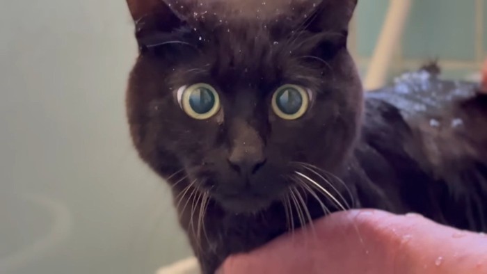 目を丸くする天くん