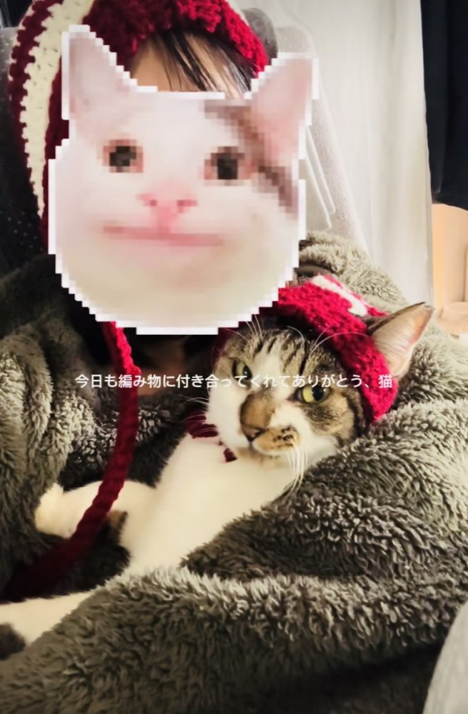 お揃いの手編みニット帽をかぶったママに抱っこされるキジ白猫
