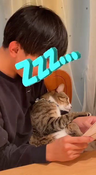 男の子の腕の中で眠る猫