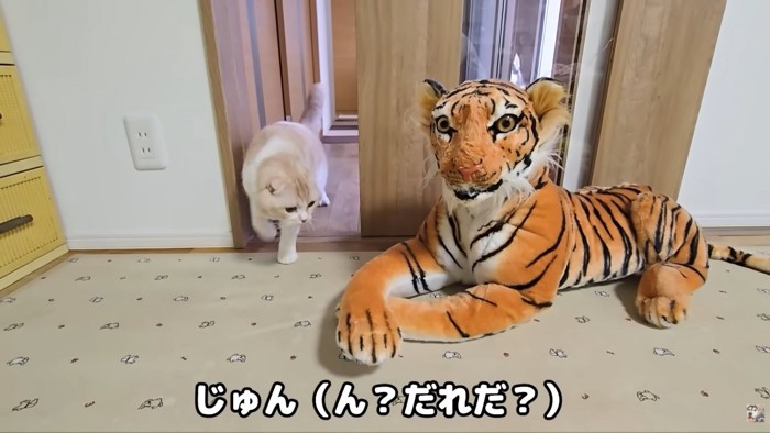 テロップ「じゅん(ん?~」